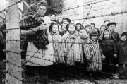 Image result for nazis killing children
