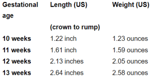 This image has an empty alt attribute; its file name is image-20.png