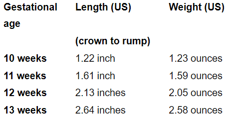 This image has an empty alt attribute; its file name is image-20.png